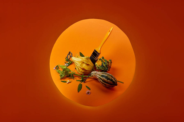 pumpkins and paint brush - Foto, afbeelding
