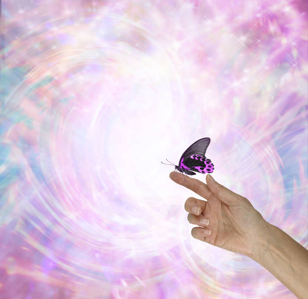 Fascynujące energii motyla - Zdjęcie, obraz