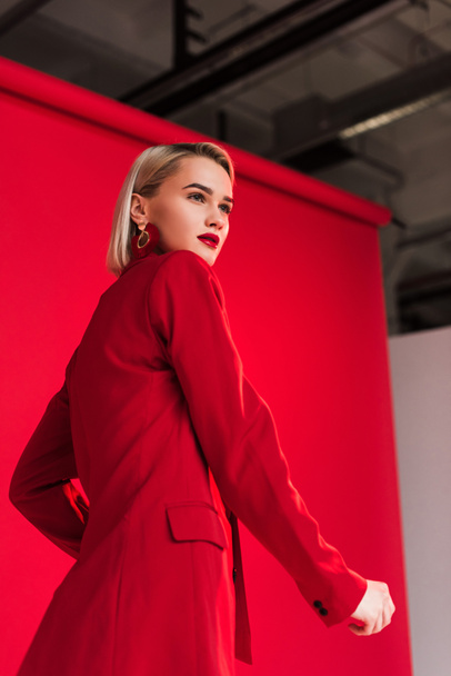 stylish girl posing in red - Foto, afbeelding