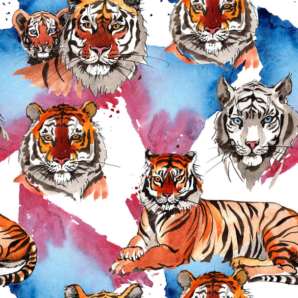 Modello di tigri esotiche
 - Foto, immagini