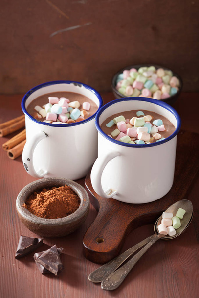 heiße Schokolade mit Mini-Marshmallows-Zimt-Wintergetränk - Foto, Bild