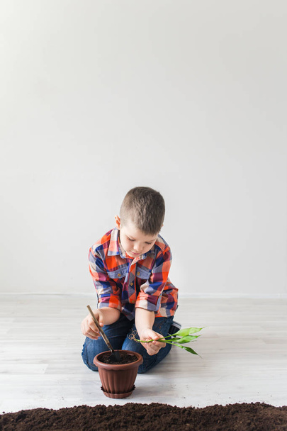 The boy helps the plant grow, environment concept - Φωτογραφία, εικόνα