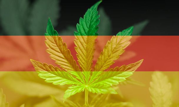 Krásný list konopí marihuana na německé vlajky a trávy s osvětlené objektivu, krásné pozadí, pojem legalizace pěstování užívání marihuany - Fotografie, Obrázek