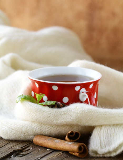Tee mit Gewürzen - Zimt, Nelke und Anis - Foto, Bild