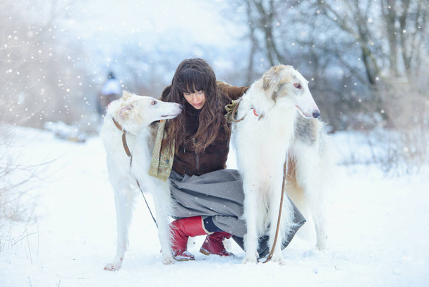 Christmas walk. Beautiful surprised woman in winter clothes with greyhound dogs graceful winter background with snow, emotions. portrait of a woman. New Year - Foto, Imagem