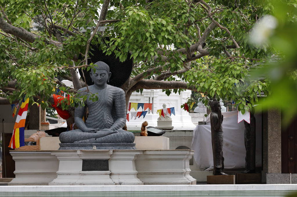 Buddha számok, Srí Lanka, Colombo Serbán Malaka templom - Fotó, kép