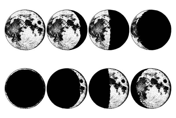 Fases lunares planetas en el sistema solar. astrología o espacio astronómico de galaxias. órbita o círculo. mano grabada dibujada en boceto viejo, estilo vintage para etiqueta
. - Vector, Imagen