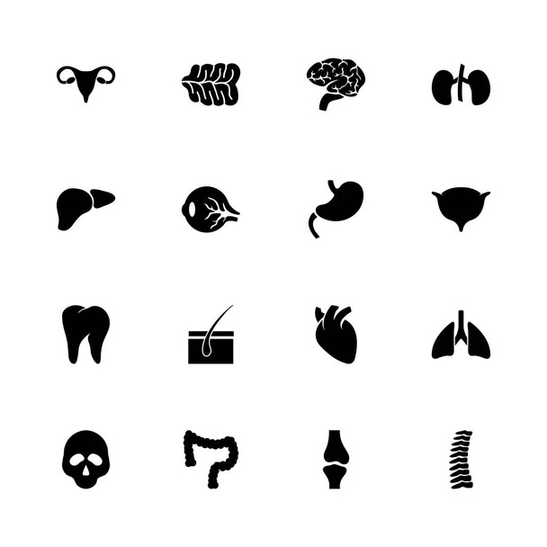Órganos - Iconos de vectores planos
 - Vector, Imagen
