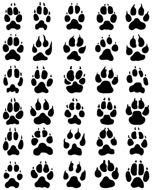 print of dogs paws - Vector, Image