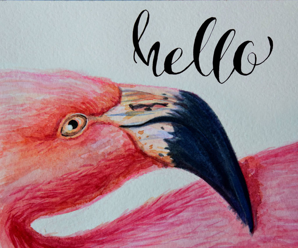 Aquarel flamingo roze handgeschilderde illustratie met inscriptie belettering Hello. vogel profiel portret kunst print - Foto, afbeelding