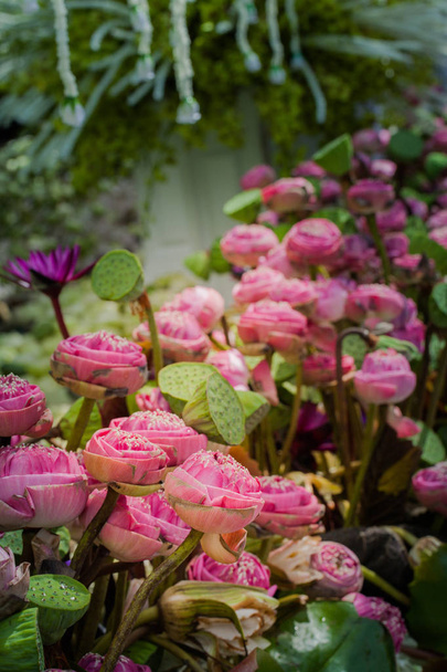 Pink lotus virág dekoráció virág piac. - Fotó, kép