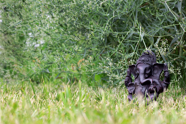 Індуїстського Ганеша. Ганеша ідол в зеленій траві - Фото, зображення
