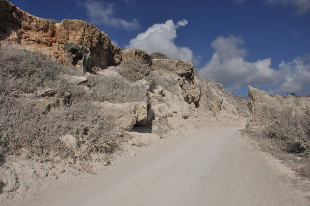 Φαράγγι του άβακα Κύπρου. Βράχια και ψηλά τείχη. - Φωτογραφία, εικόνα