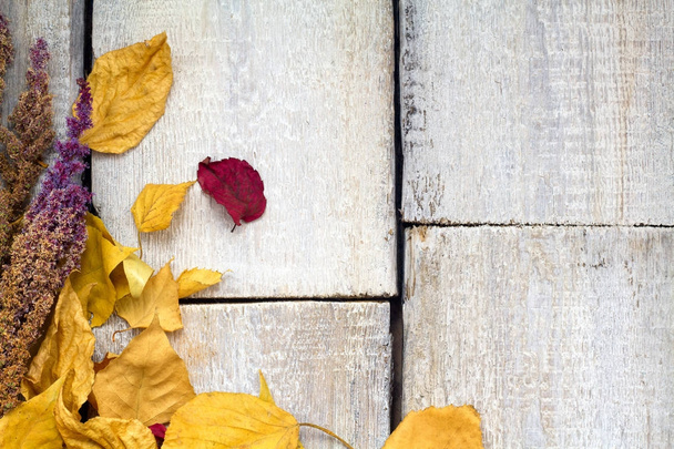 Őszi vörös és narancssárga levelek ősszel fából készült háttér. - Fotó, kép