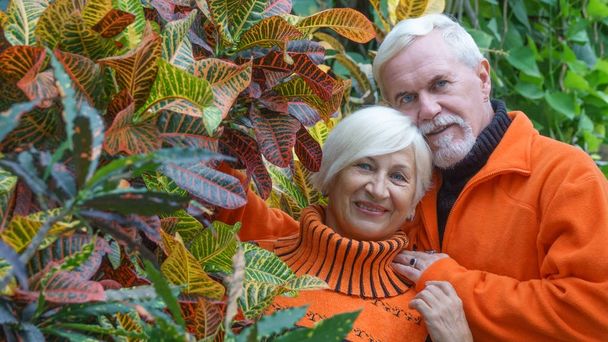 Cheerful positive elderly couple - Photo, Image