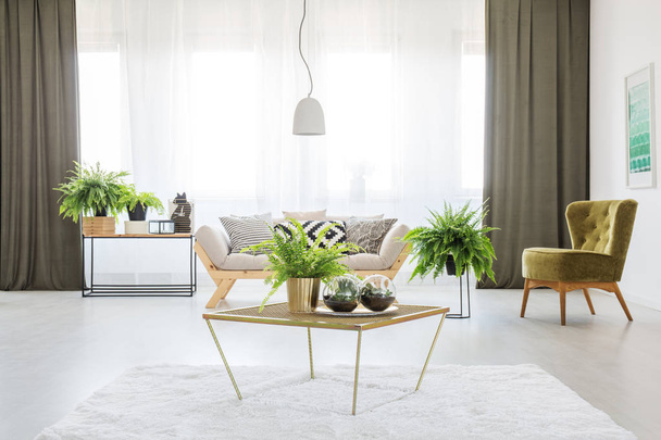 Monochromatic living room with ferns - Photo, image