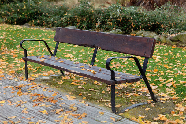 Stare ławki w parku jesień  - Zdjęcie, obraz