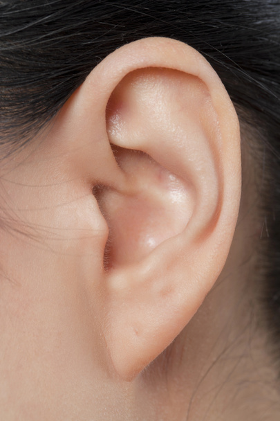 kadın kulak - Fotoğraf, Görsel