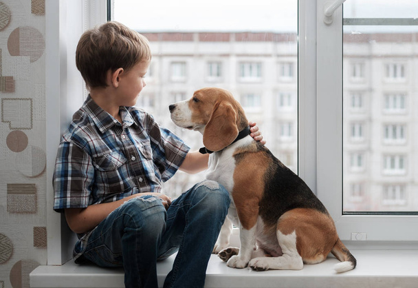 European boy and Beagle dog on the windowsill - Photo, Image