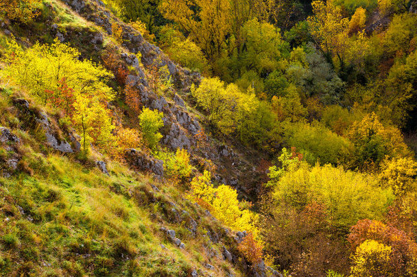 Αμπρούτσο, Ιταλία - χρώματα του φθινοπώρου - Φωτογραφία, εικόνα