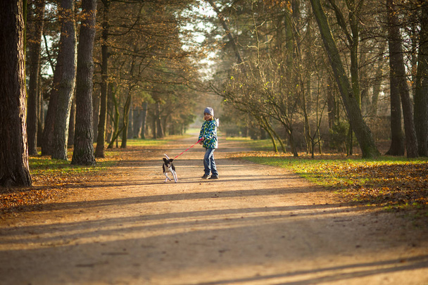 Boy 10-11 years walking the dog in autumn Park. - Φωτογραφία, εικόνα