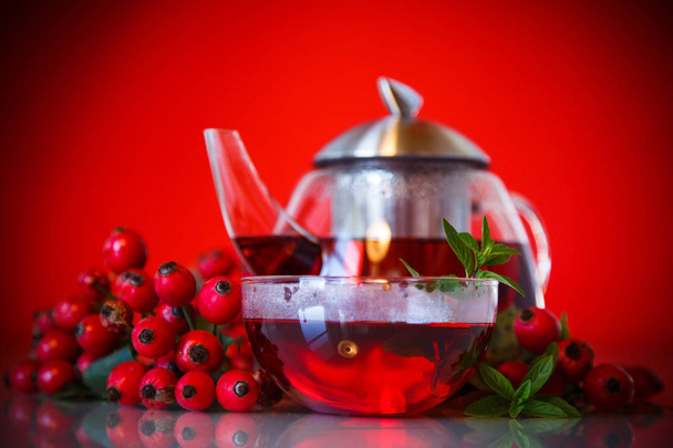 rose hip tea - Foto, afbeelding