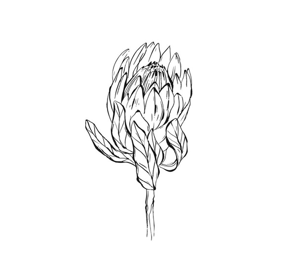 Soyut grafik mürekkep Şakayık çiçeği baş beyaz arka plan üzerinde izole vektör yapılmış. Anahat tasarım öğeleri için boho düğün, doğum günü, tarihi bildirimi kartı Kaydet - Vektör, Görsel