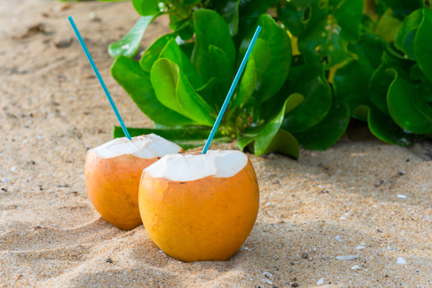 Cocktails in Kokosnüssen auf Sand - Foto, Bild