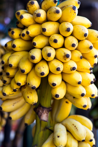 Bananen - Foto, Bild