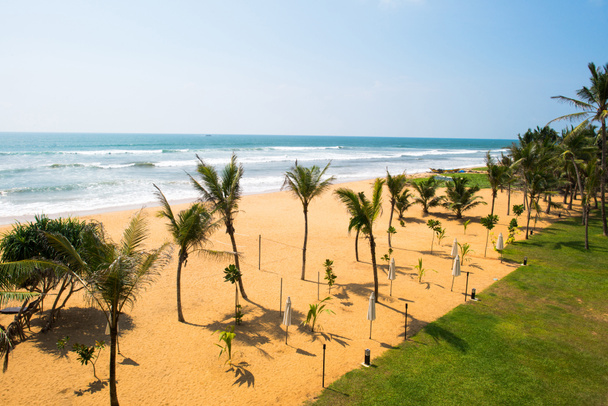 strand met palmbomen - Foto, afbeelding