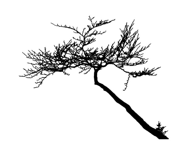 Ρεαλιστικό δέντρο σιλουέτα (εικονογράφηση διάνυσμα). Ai10 - Διάνυσμα, εικόνα
