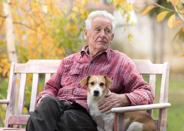 Viejo con perro en el banco en el parque
 - Foto, Imagen