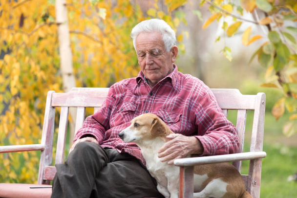 Homem velho com cão no banco no parque
 - Foto, Imagem