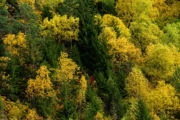 メスティア、ジョージア州の国の秋 - 写真・画像