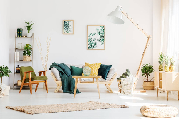 Green living room with pouf - 写真・画像