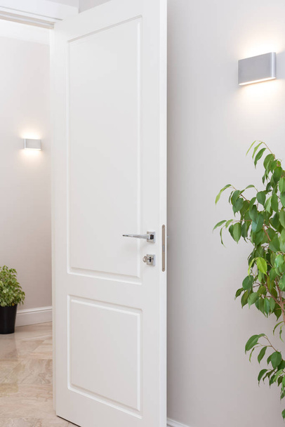 Modern wall lights. The bright apartments are decorated with potted plants - Foto, Bild