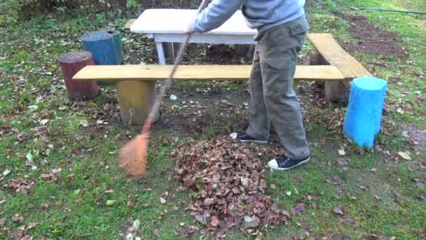 farmer gardener raking autumn leaves from homestead yard - Footage, Video