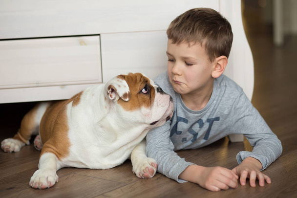 Cute boy plays on the floor on a carpet with puppies of English bulldog - Foto, Bild