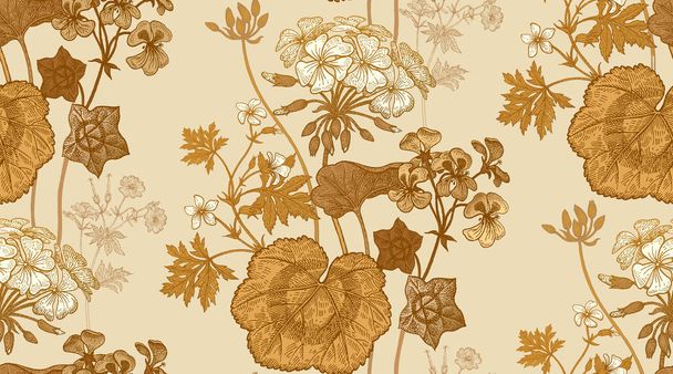 Flower geranium. Seamless floral pattern. - Vector, imagen