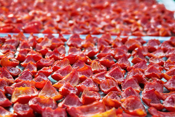 Background of Red Tomatoes Slices Drying in the sunlight - Foto, afbeelding