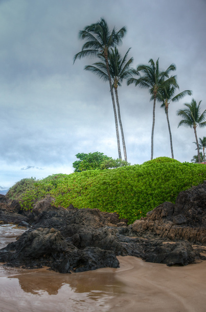 Мальовничі Мауї берегової лінії
 - Фото, зображення