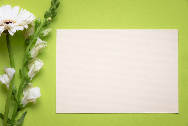 Beyaz çiçekler ve mesaj kartı - Fotoğraf, Görsel