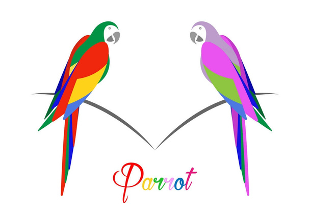 pair of parrots, tropical parrot bird icon image vector illustration design multi colored, isolated or white background  - Vector, Image