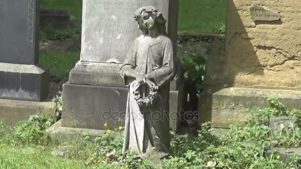 A statue of an angel - Footage, Video