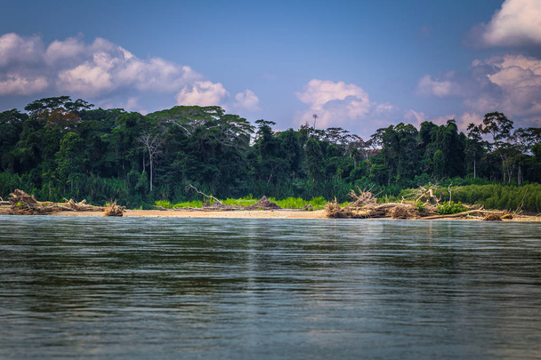 Manu National Park, Peru - 06 augustus 2017: Landschap van het Amazoneregenwoud in Manu National Park, Peru - Foto, afbeelding