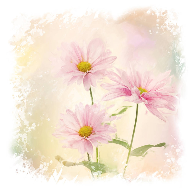 Рожеві квіти ромашки акварель - Фото, зображення
