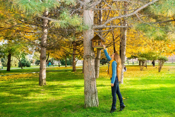 Retrato de otoño de una hermosa mujer sobre hojas amarillas mientras camina en el parque en otoño. Emociones positivas y concepto de felicidad
. - Foto, imagen