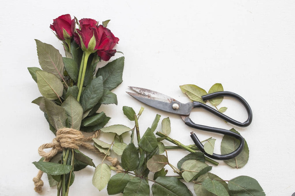 букет красной розы с ножницами для цветочных композиции
 - Фото, изображение
