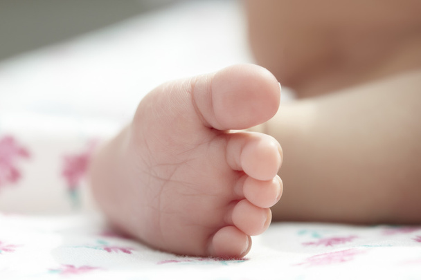 Baby foot - Photo, Image