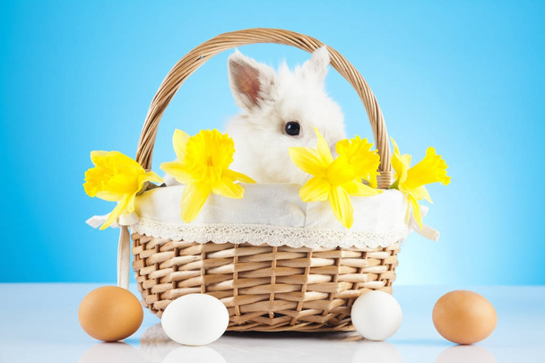 Cute Easter Bunny sitting in wicker basket with Easter eggs - Fotó, kép